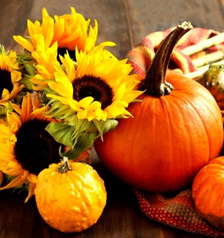 AADC Young Alumnae Network YANOWEEN Fall Festivities